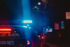 Photo by Andrea Ferrario on Unsplash