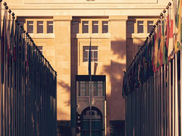 Photo by Jonathan Ansel Moy de Vitry on Unsplash
