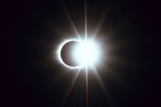 Photo by Matt Nelson on Unsplash