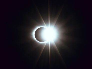 Photo by Matt Nelson on Unsplash