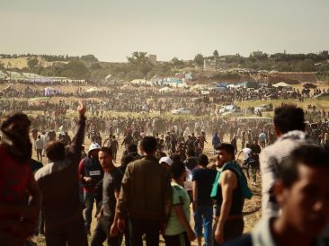 Image by hosny salah from Pixabay