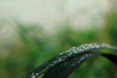 Photo by Faris Mohammed on Unsplash