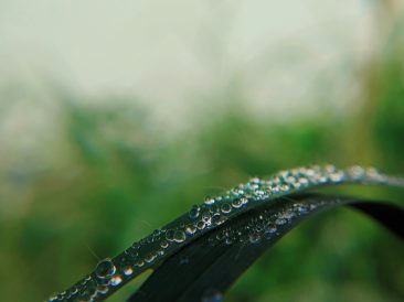 Photo by Faris Mohammed on Unsplash