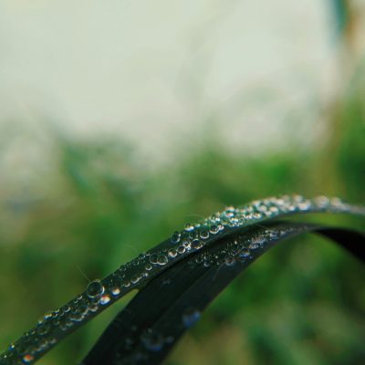 Photo by Faris Mohammed on Unsplash