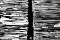 Image by Ag Ku from Pixabay