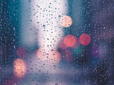 Photo by Max Bender on Unsplash