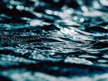 Image by wal_172619 from Pixabay