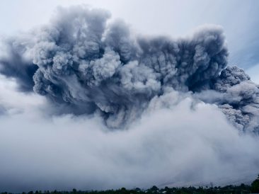 Image by Pexels from Pixabay