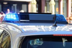 Image by Yildiray Yücel Kamanmaz from Pixabay