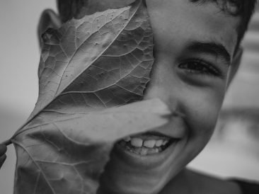 Image by FETHI BOUHAOUCHINE from Pixabay