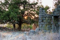 Image by Leehu Zysberg from Pixabay