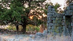 Image by Leehu Zysberg from Pixabay