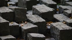 Image by S. Nagel from Pixabay