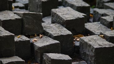 Image by S. Nagel from Pixabay