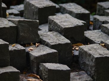 Image by S. Nagel from Pixabay