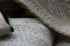 Photo by menachem weinreb on Unsplash