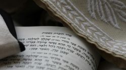 Photo by menachem weinreb on Unsplash